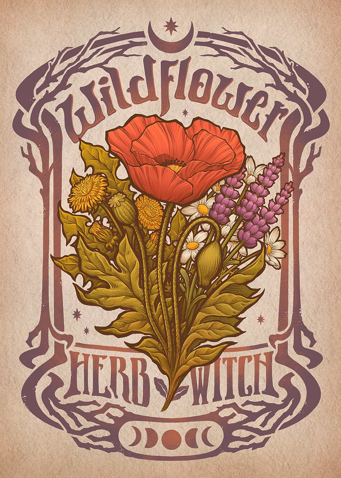 Wildflower - Herb Witch