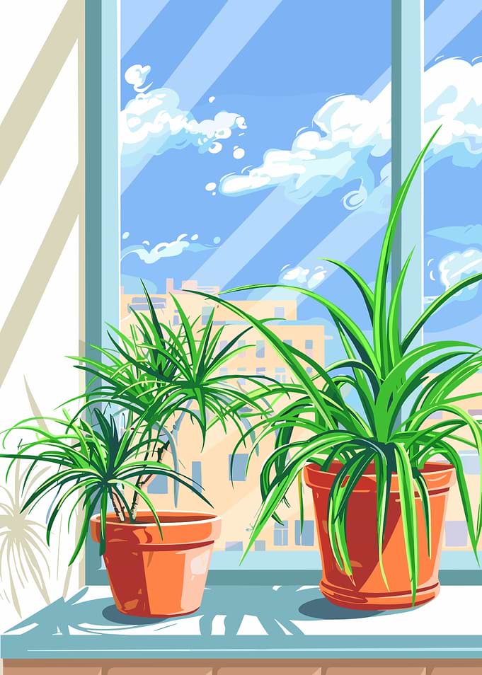 Potted Plants by the Window