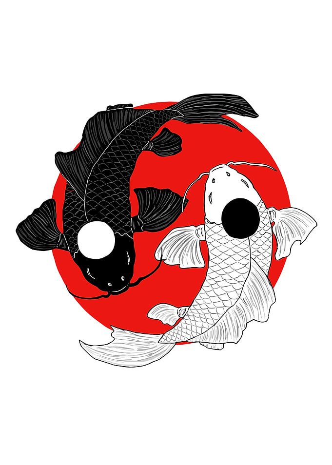 Yin Yang Koi Fish Illustration