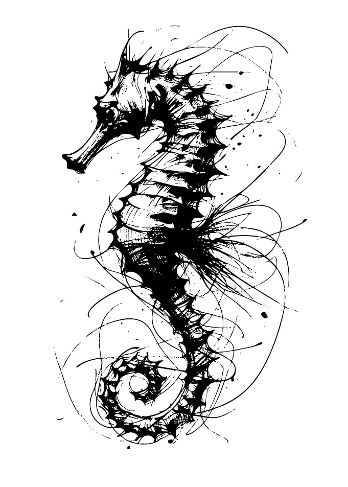 Seahorse Ink Sketch