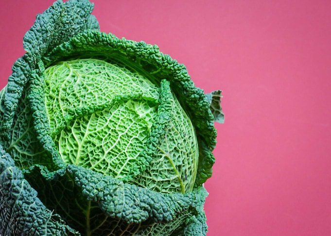 Savoy Cabbage on Pink Background