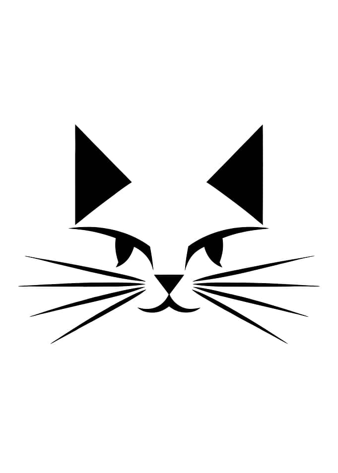 Minimalist Black and White Cat Portrait