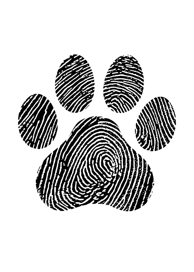 Dog Love Artwork Dog Owner