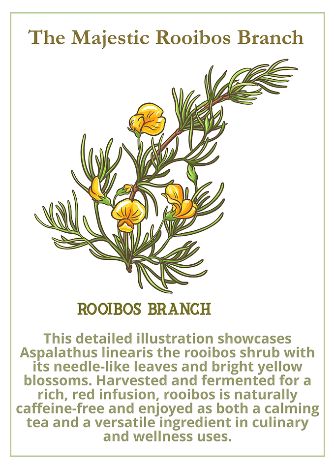 The Majestic Rooibos Branch Illustration