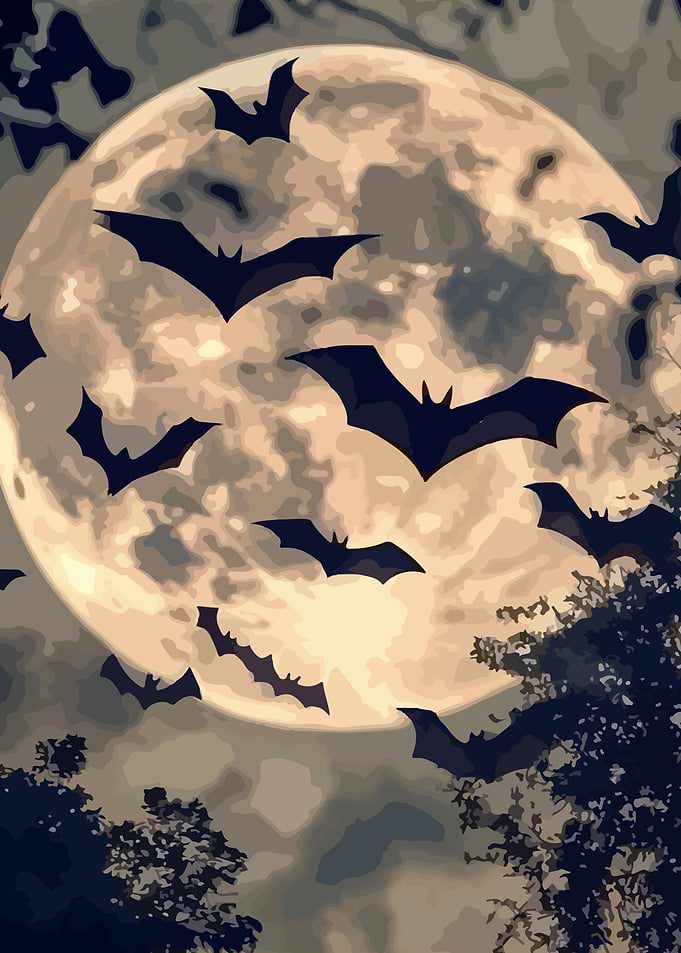 Bats flying in front of the moon