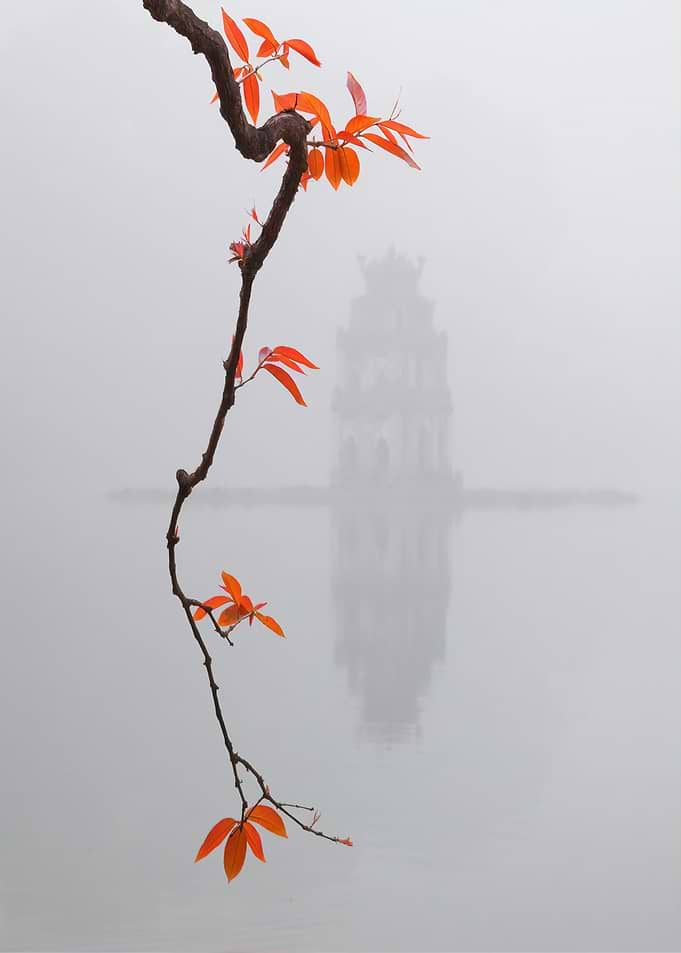 Foggy Lake with Orange Leaves