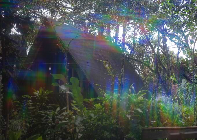 A cabin in the forest