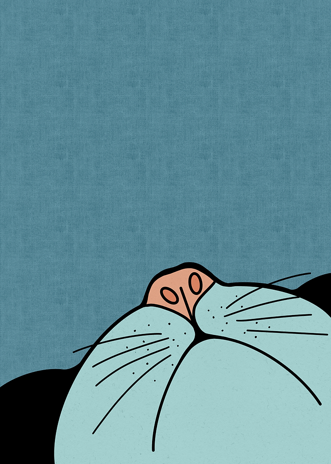 Peeking Cat Illustration on Blue Background