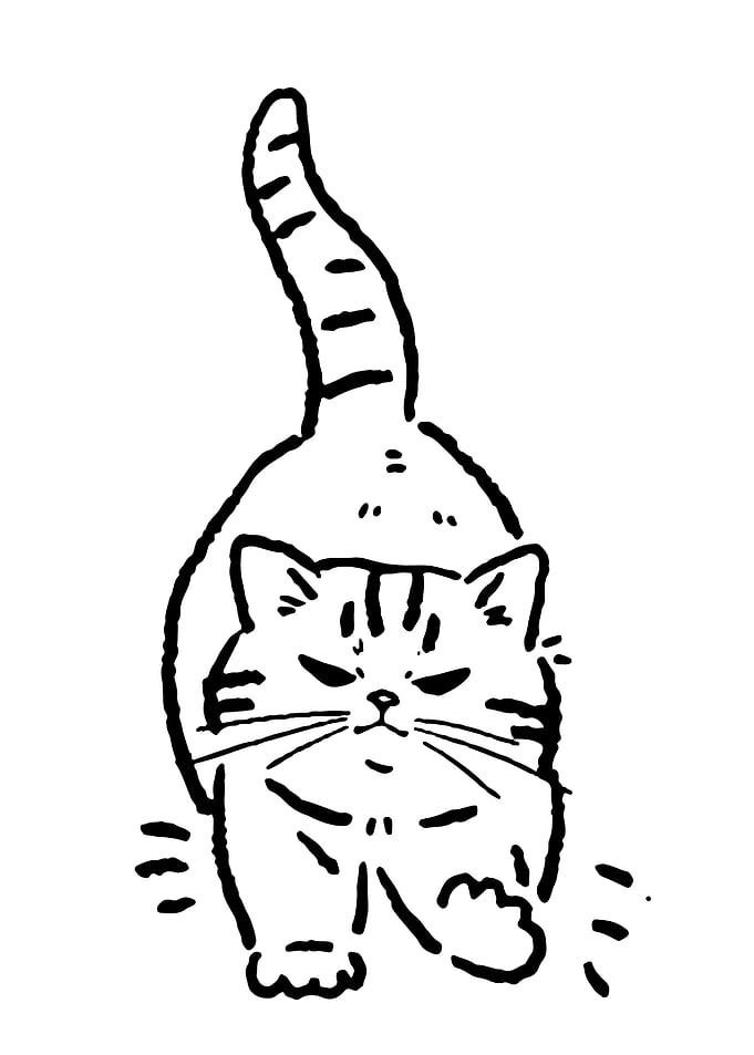 Grumpy Cat Illustration