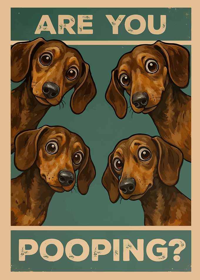 Are you pooping? Dachshund poster