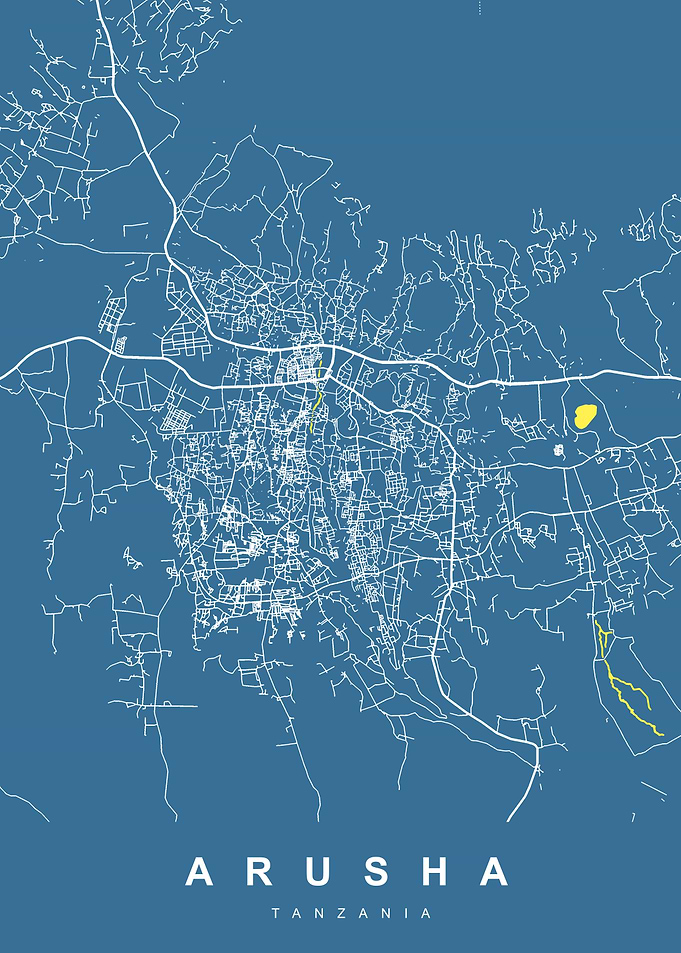 Arusha, Tanzania City Map