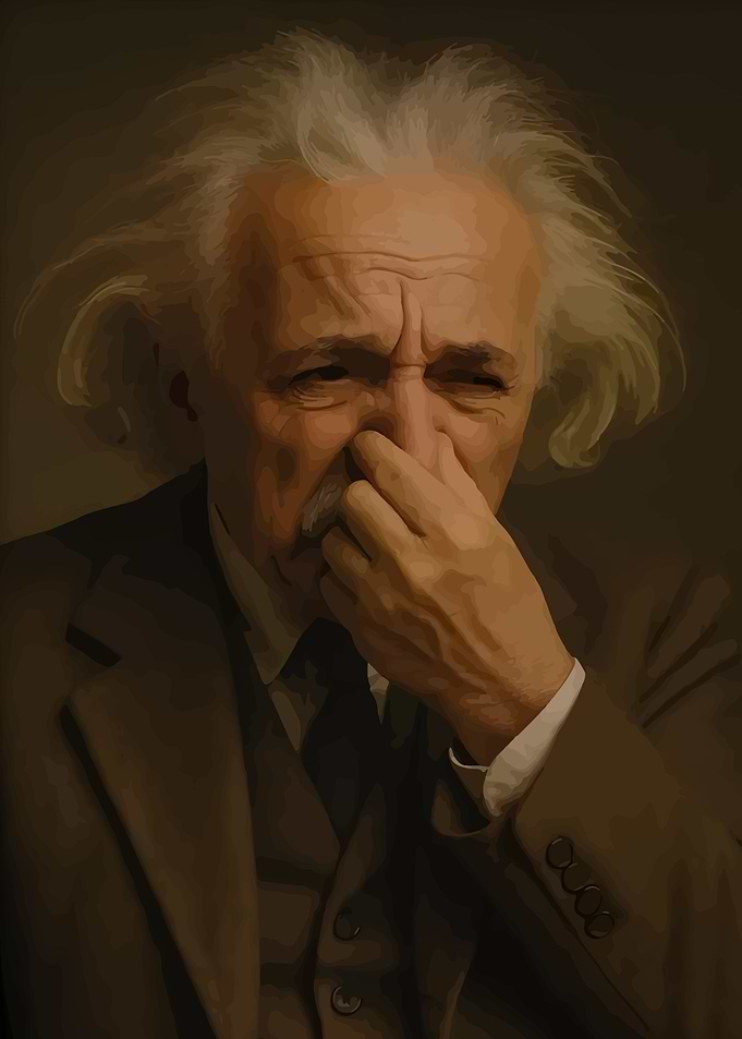 Einstein Bathroom Funny Toilet