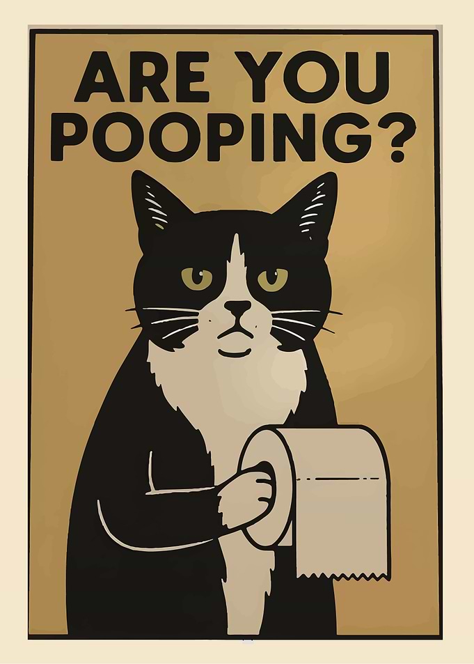 Are You Pooping? Cat Poster