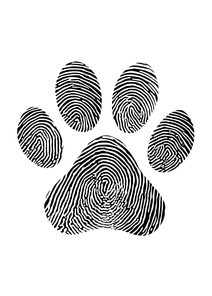 Dog Lover Artwork Proud