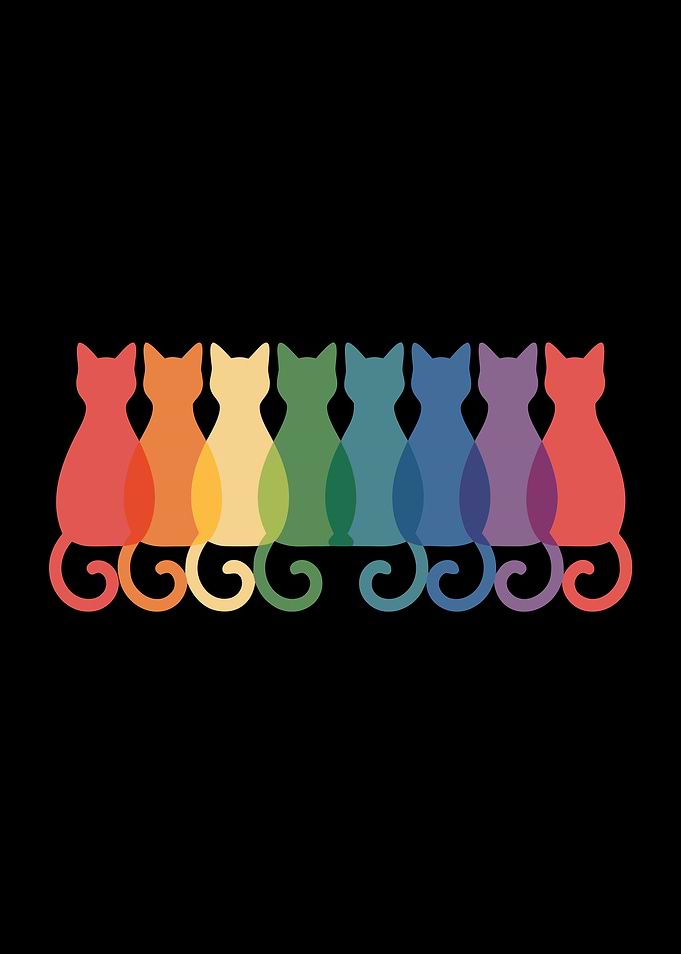 Colorful Cats Silhouette on Black Background