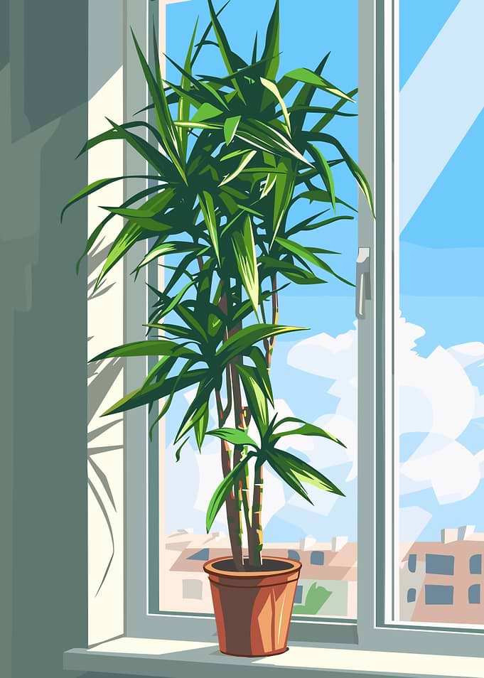 Potted Plant by Window Illustration