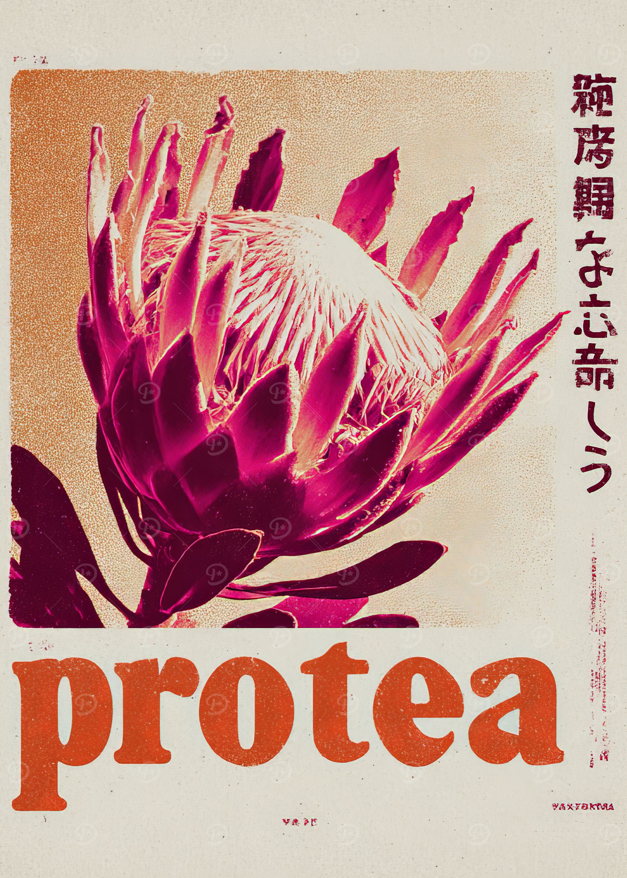 Protea Flower Art Print