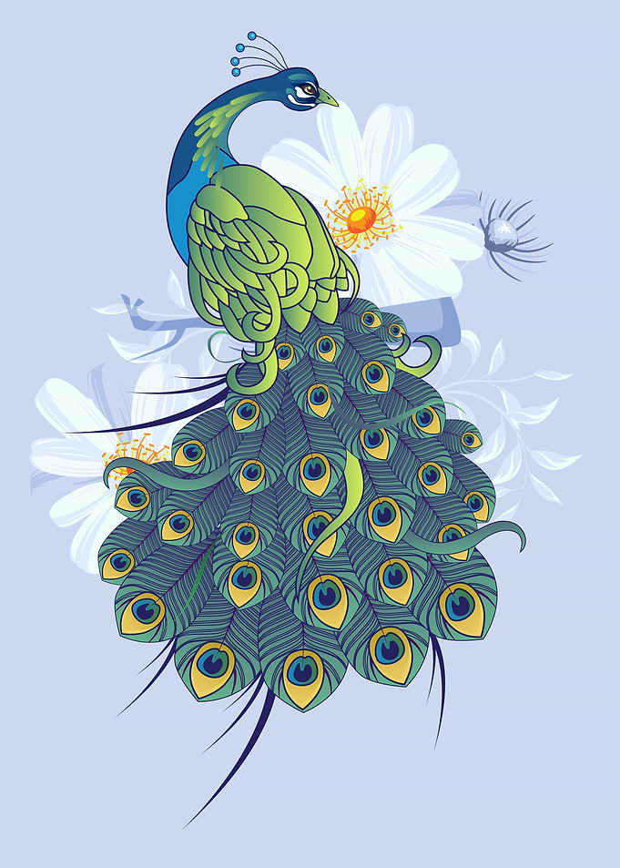 Elegant Peacock with Floral Background
