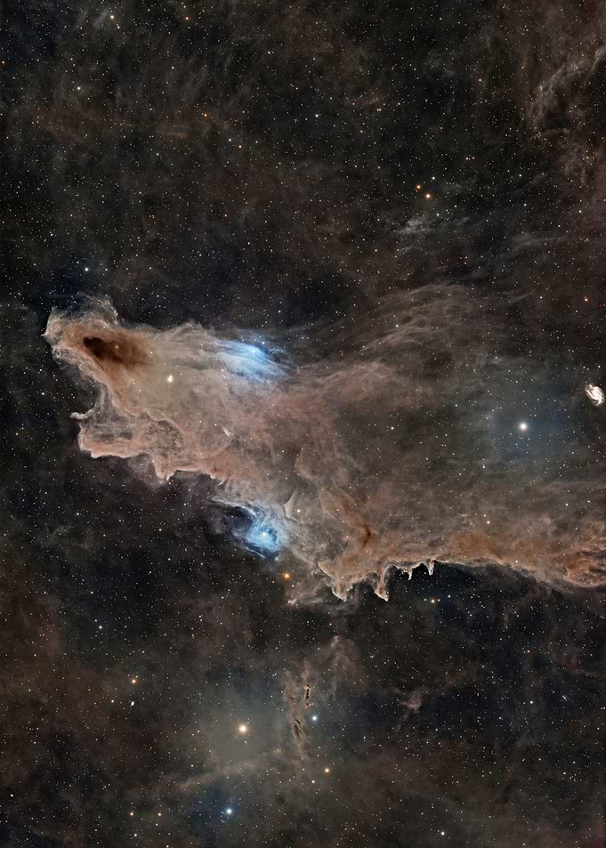 The Dark Shark
