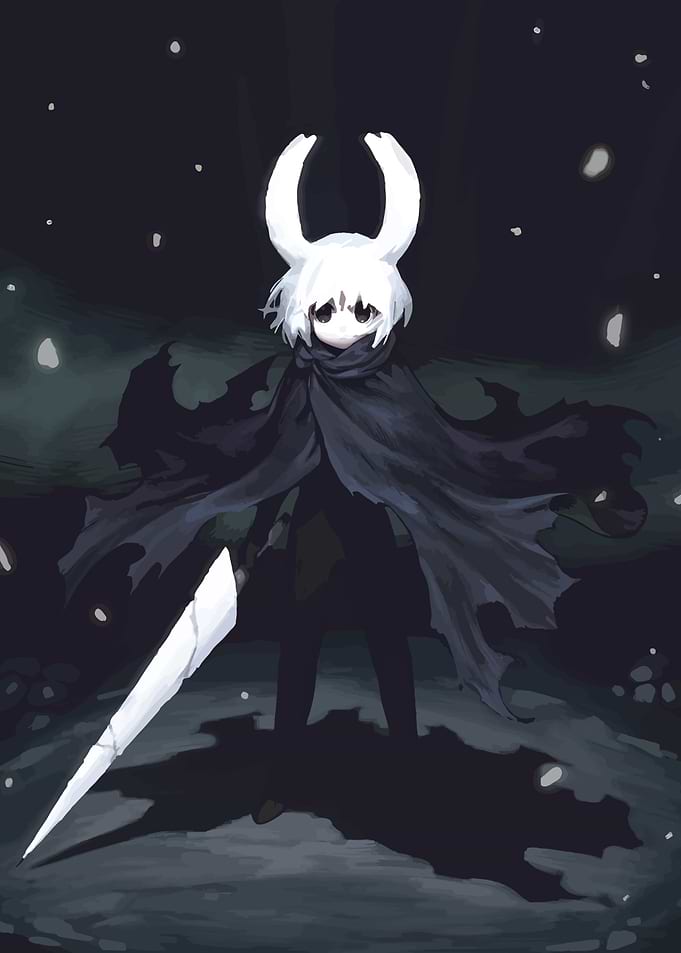 Hollow Knight Anime Style