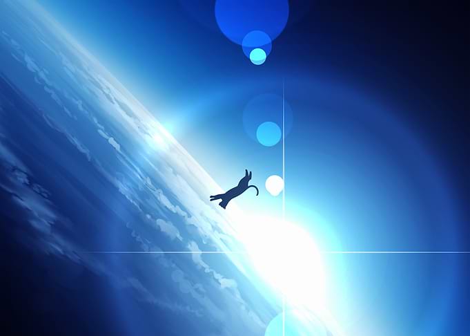 Cat in Space