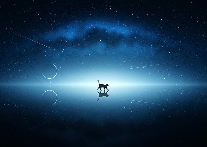 Cat Silhouette Under Starry Night Sky