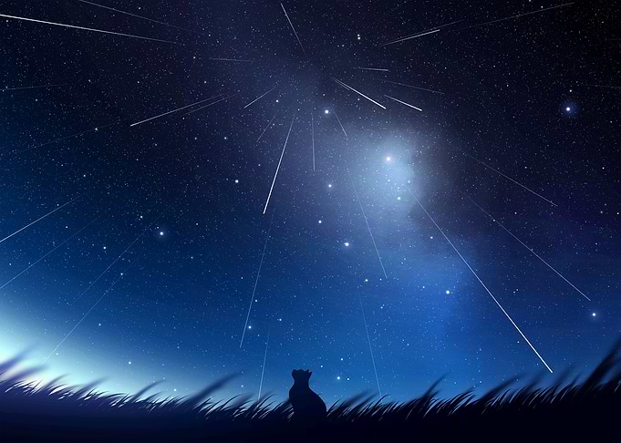 Night Sky with Shooting Stars