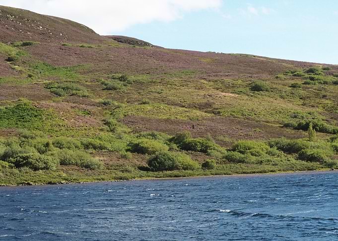 Scottish Highlands Landscape with Loch