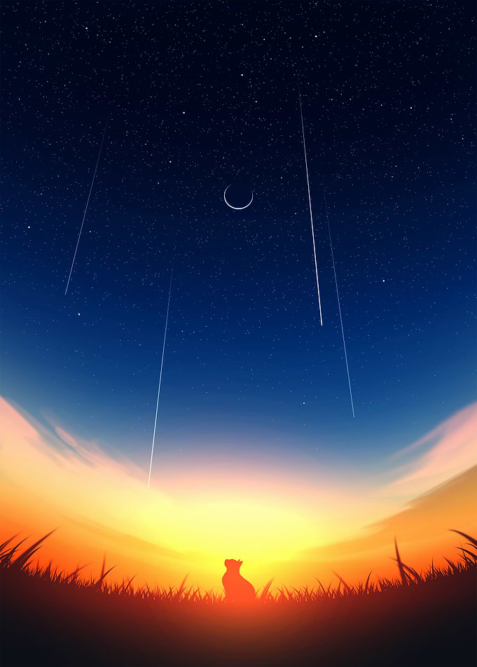 Cat Silhouette Under Starry Night Sky