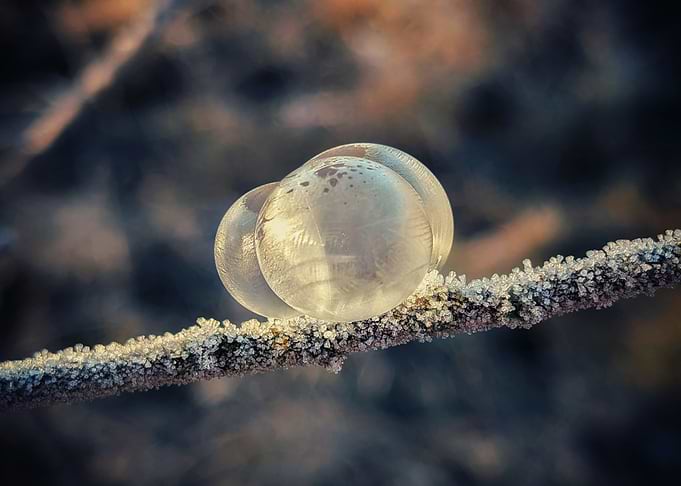 Frozen Bubbles on Branch