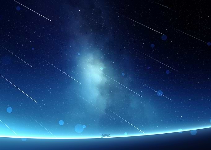 Night Sky with Shooting Stars and Cat