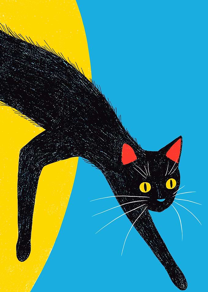 Black Cat Illustration