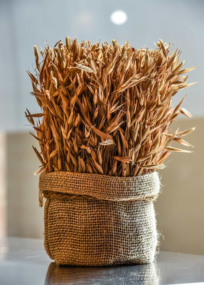 Wheat Stalks in Burlap Sack