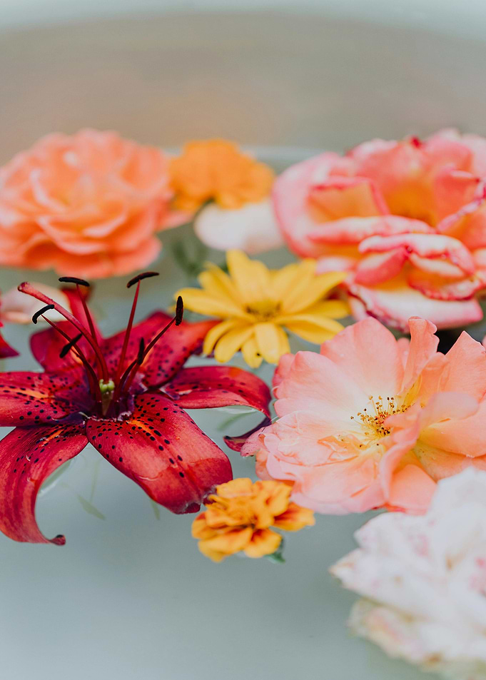 Floating Flowers in Water