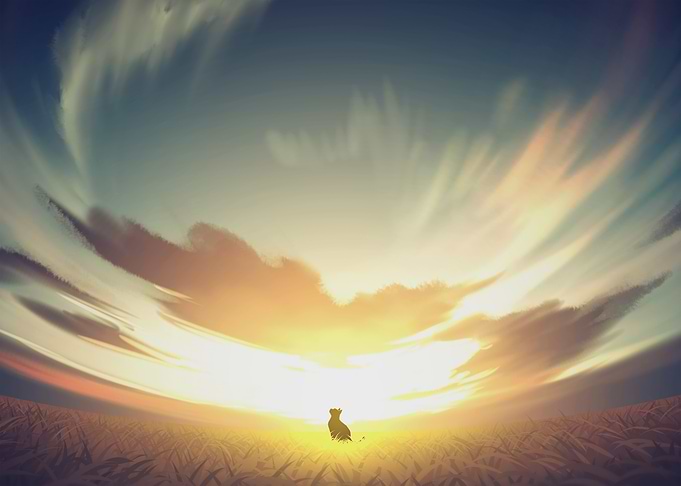 Silhouette of a Cat at Sunset