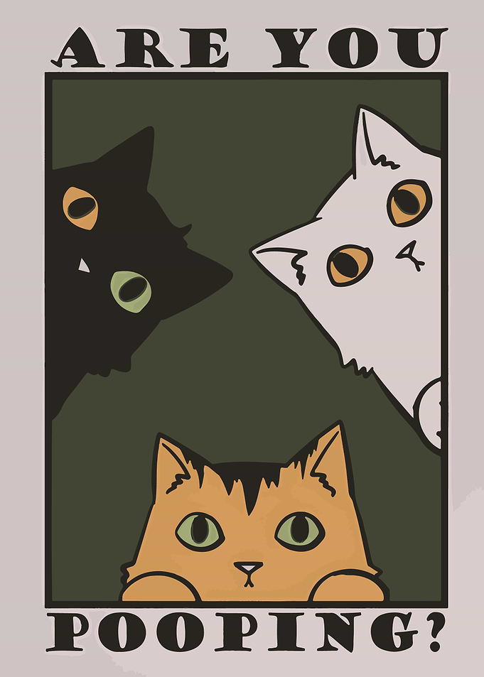 Are You Pooping? Cats Poster