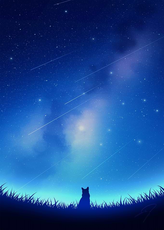 Cat Silhouette Under Starry Night Sky