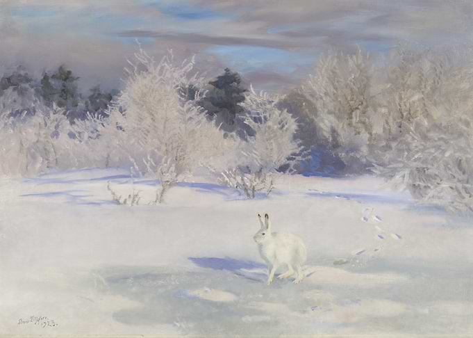 Winter Hare in Snowy Landscape Painting