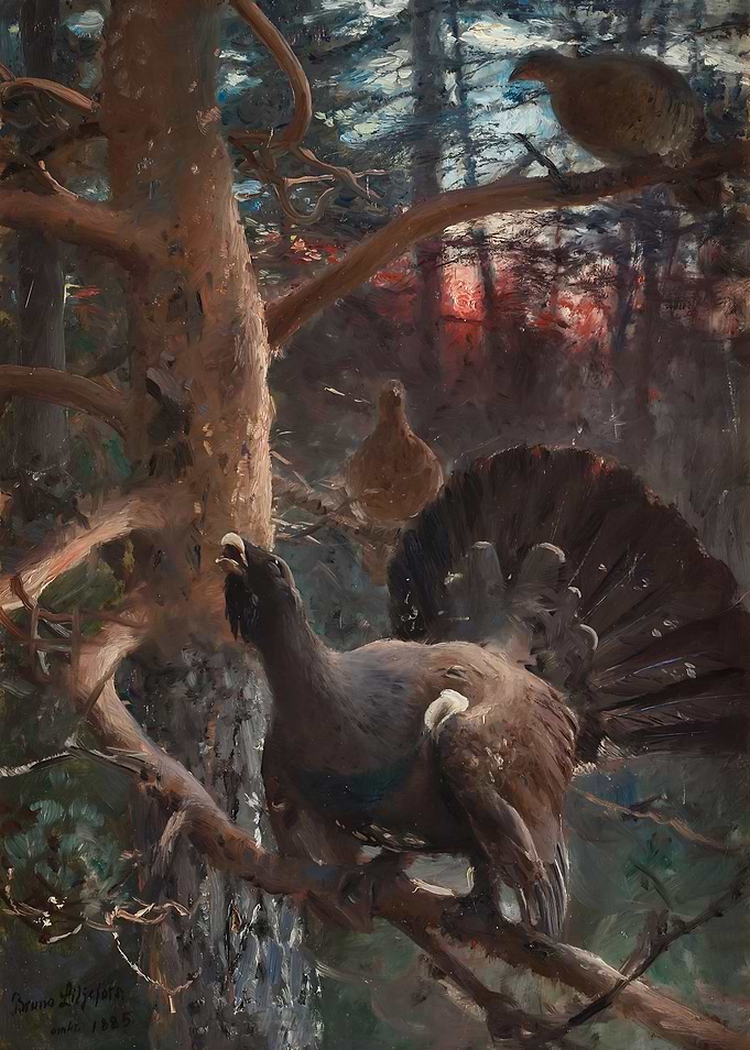 Tetrao Urogallus in Forest Painting
