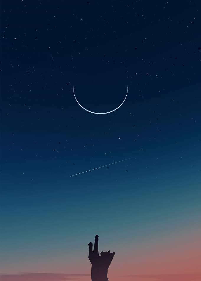 Night Sky with Crescent Moon