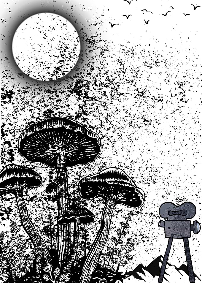 Mushroom Forest Film Scene