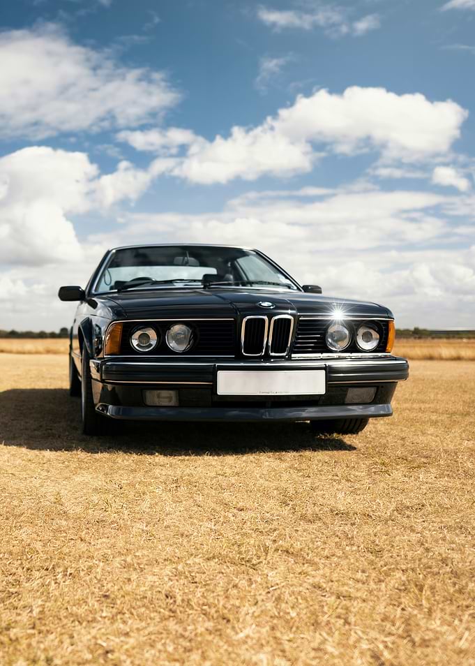 Black BMW on Field