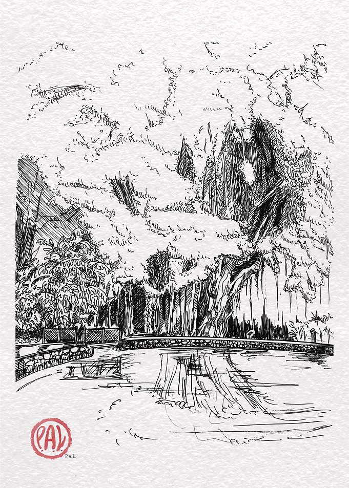 Ink Drawing of a Pond and Trees
