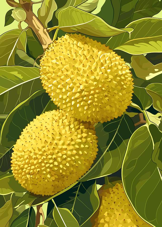 Illustration of Jackfruit on a Tree
