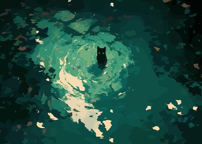 Black Cat in Water