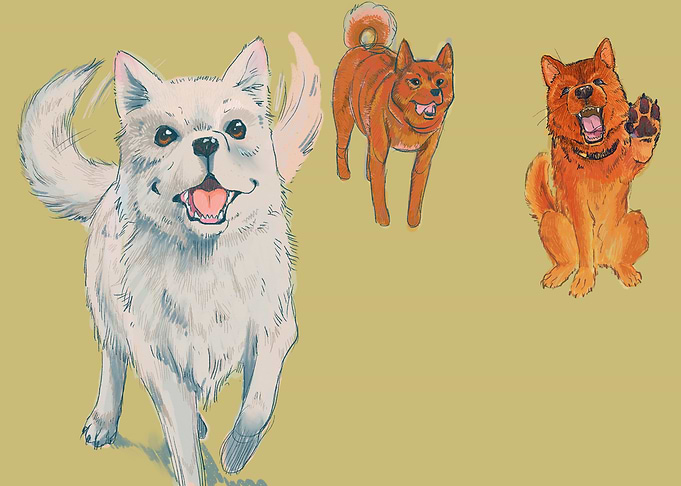 Three Happy Dogs Illustration