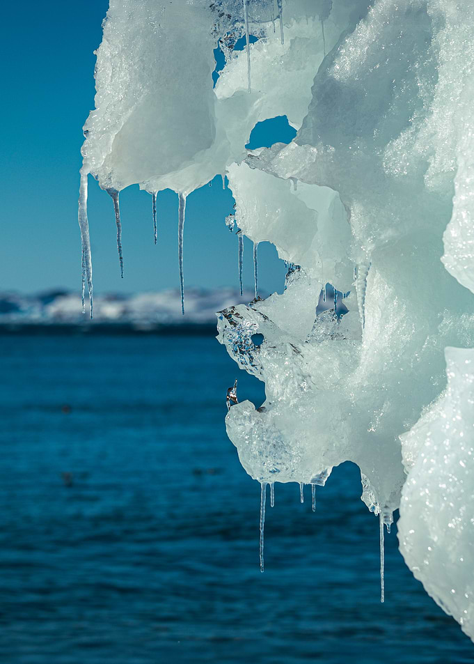 Stranded Iceberg