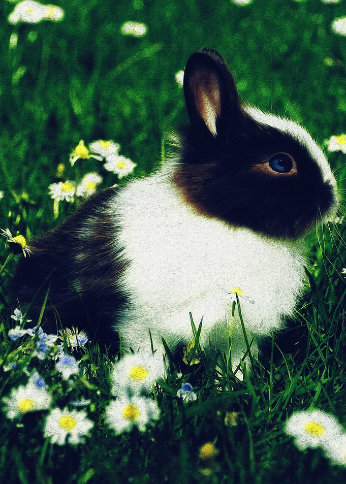 Cute Rabbit in a Field of Flowers