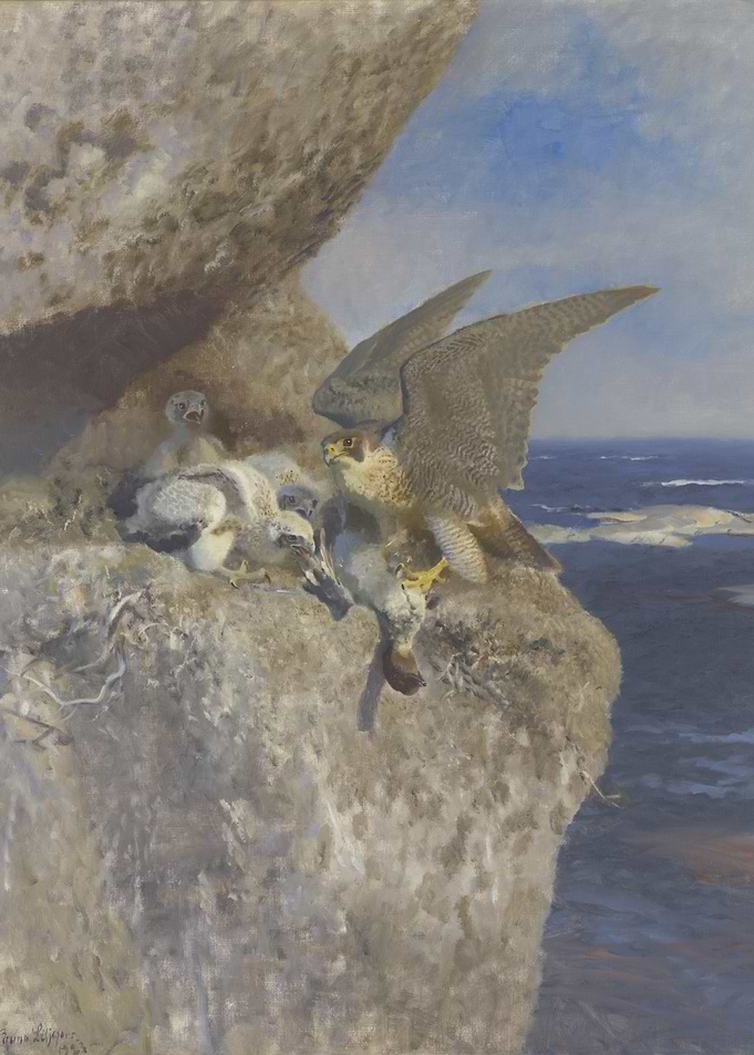 Falcon Feeding Chicks on Cliff Painting