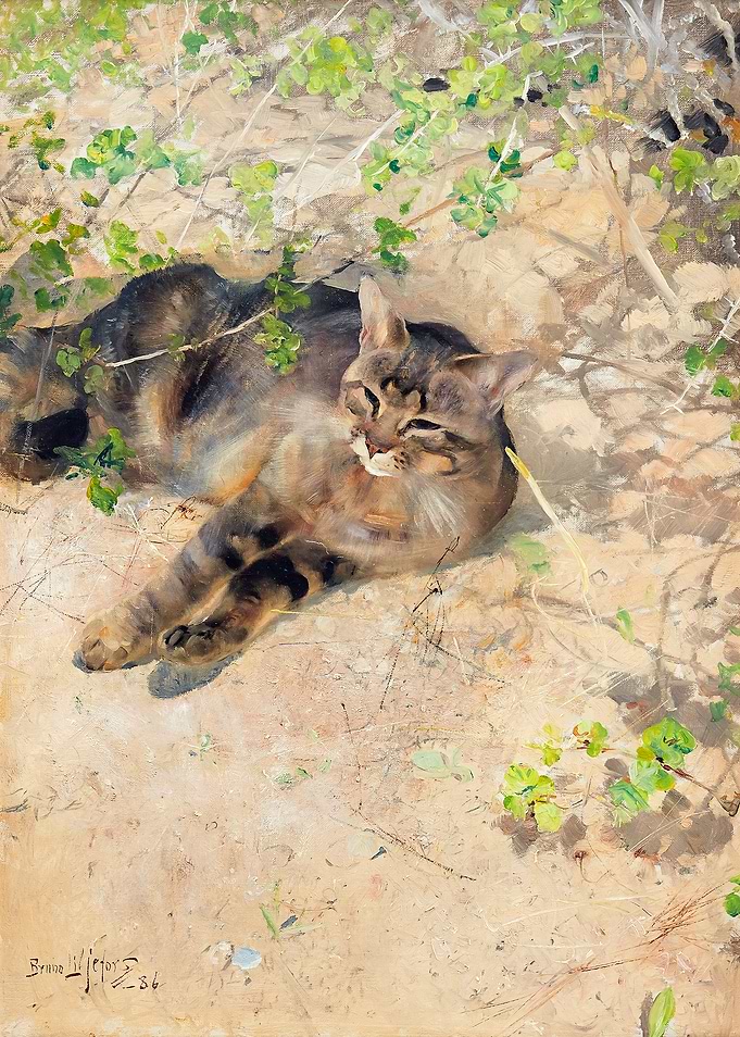 Cat Resting in the Shade Painting